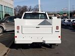 2024 Ford F-250 Regular Cab 4WD Service Truck for sale #FS2531 - photo 6