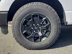2025 Ford F-150 SuperCrew Cab 4WD Pickup for sale #FS3092 - photo 34