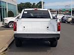 2025 Ford F-150 SuperCrew Cab 4WD Pickup for sale #FS3092 - photo 35