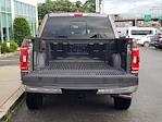 2023 Ford F-150 SuperCrew Cab 4WD Pickup for sale #FX1131 - photo 36
