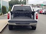 2024 Ford F-150 SuperCrew Cab 4WD Pickup for sale #FX1177 - photo 39