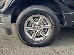 2024 Ford F-150 SuperCrew Cab 4WD Pickup for sale #FX1281 - photo 42