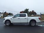 2021 Ford F-150 SuperCrew Cab 4WD, Pickup for sale #24F132A - photo 8