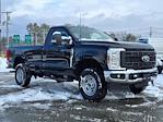 2024 Ford F-350 Regular Cab SRW 4WD, Pickup for sale #24F330A - photo 3