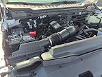 New 2024 Ford F-350 Regular Cab 4WD SRW Pickup for sale #24F353 - photo 26