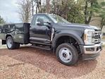 2024 Ford F-550 Regular Cab DRW 4WD, Reading SL Service Body Service Truck for sale #24F502 - photo 6