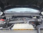 2024 Ford F-150 SuperCrew Cab 4WD Pickup for sale #25F103A - photo 37