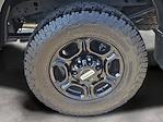 2023 Ford F-250 Crew Cab 4WD Pickup for sale #25F108B - photo 5