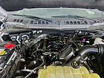 2019 Ford F-150 SuperCrew Cab 4x4 Pickup for sale #D250515B - photo 33