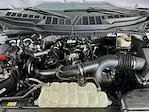2023 Ford F-150 SuperCrew Cab 4WD Pickup for sale #D260090A - photo 32