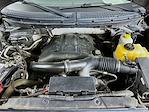 2014 Ford F-150 SuperCrew Cab 4WD Pickup for sale #D260275A - photo 33