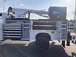 2024 Chevrolet Silverado 5500 Regular Cab DRW 4WD Mechanics Body for sale #CR76790 - photo 10