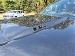 2022 Chevrolet Silverado 1500 Crew Cab 4WD Pickup for sale #20211 - photo 12