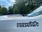 2023 Chevrolet Silverado 3500 Crew Cab 4x4 Pickup for sale #T252510A - photo 22
