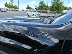 2024 Chevrolet Silverado 2500 Crew Cab 4x4 Pickup for sale #T252584A - photo 11