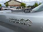 2025 Chevrolet Silverado 2500 Crew Cab 4x4 Pickup for sale #T252704 - photo 11
