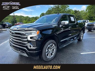 2025 Chevrolet Silverado 1500 Crew Cab 4x4 Pickup for sale #T252735 - photo 1