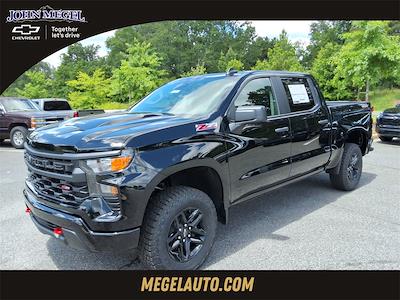 2025 Chevrolet Silverado 1500 Crew Cab 4x4 Pickup for sale #T252859 - photo 1