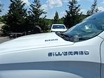 2025 Chevrolet Silverado 1500 Crew Cab 4x4 Pickup for sale #T252869 - photo 20