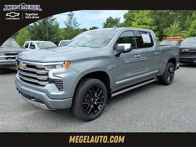 2025 Chevrolet Silverado 1500 Crew Cab 4x4 Pickup for sale #T252874 - photo 1