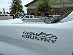 2021 Chevrolet Silverado 2500 Crew Cab 4WD Pickup for sale #T262041A - photo 11