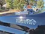 2025 Chevrolet Silverado 2500 Crew Cab 4WD Pickup for sale #T262081A - photo 11