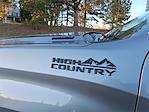 2025 Chevrolet Silverado 1500 Crew Cab 4WD Pickup for sale #T262123A - photo 11