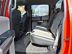 2017 Ford F-150 SuperCrew Cab 4WD Pickup for sale #T262134C - photo 19