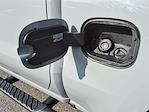 2024 Chevrolet Silverado 1500 Crew Cab 4WD Pickup for sale #T263068A - photo 13