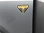 New 2025 Ford Bronco Badlands for sale #S035049 - photo 10