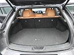 Used 2024 Lexus UX 250h Premium for sale #S65038A - photo 13