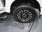 2024 Ford F-250 Crew Cab 4WD Pickup for sale #SA5375 - photo 10
