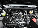 New 2025 Ford Ranger XL SuperCrew Cab for sale #T15030 - photo 12