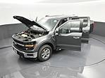 New 2024 Ford F-150 XLT SuperCrew Cab for sale #T24010 - photo 49