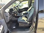 New 2024 Ford F-150 XLT SuperCrew Cab for sale #T24086 - photo 20