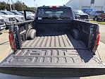 New 2024 Ford F-150 XLT SuperCrew Cab for sale #T24086 - photo 46
