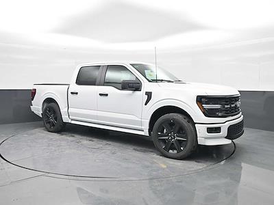 New 2025 Ford F-150 - photo 1