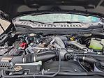New 2025 Ford F-250 XL Regular Cab for sale #T35008 - photo 22