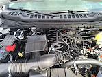 New 2025 Ford F-350 XL Regular Cab for sale #T35032 - photo 23
