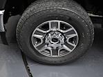 New 2025 Ford F-350 XLT Regular Cab for sale #T35045 - photo 11