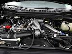 New 2025 Ford F-250 XLT Crew Cab for sale #T35050 - photo 12