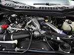 New 2025 Ford F-250 XL Crew Cab for sale #T35060 - photo 12