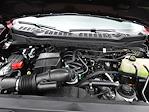 New 2026 Ford F-350 XLT Regular Cab for sale #T36019 - photo 12