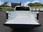 2025 Ram 1500 Crew Cab 4x4 Pickup for sale #1G367 - photo 29