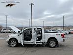 2023 Ford F-150 SuperCrew Cab 4WD Pickup for sale #CA1002 - photo 33