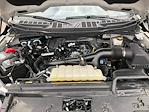 2024 Ford F-150 SuperCrew Cab 4WD Pickup for sale #CA1003 - photo 33