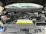2025 Ford F-150 SuperCrew Cab 4WD Pickup for sale #CA1006 - photo 34