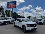 New 2025 Ford F-150 STX SuperCrew Cab 4x4 Pickup for sale #1R266 - photo 1