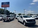 New 2025 Ford F-150 XL SuperCrew Cab 4x4 Pickup for sale #1R273 - photo 3
