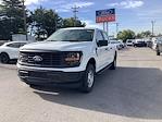 2025 Ford F-150 SuperCrew Cab 4x4 Pickup for sale #1R276 - photo 1